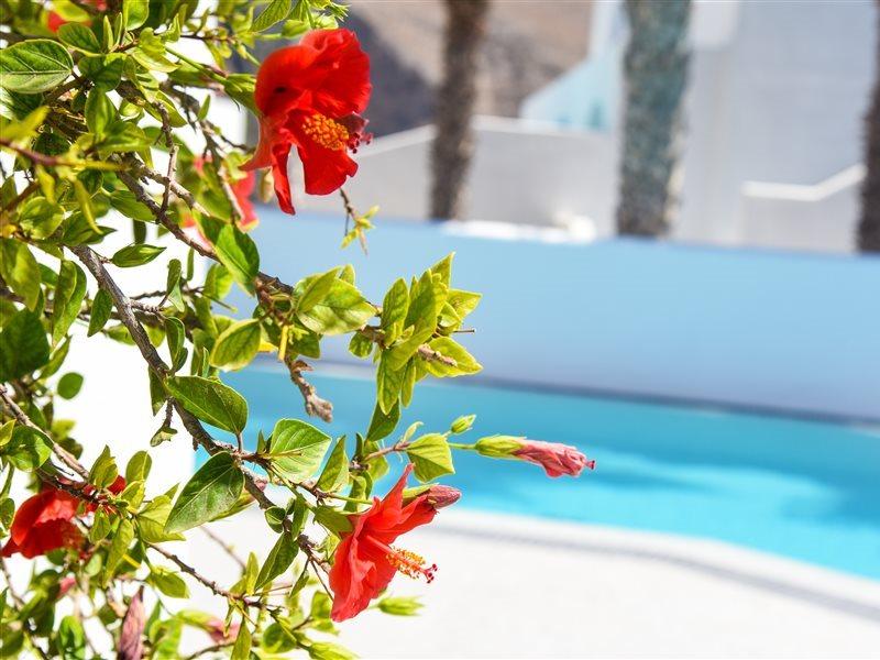Kouros Village Hotel - Adults Only بيريسا المظهر الخارجي الصورة